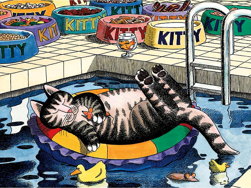 pool cat